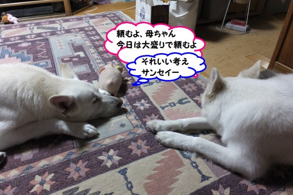 f:id:buhi84shin:20140113215609j:image