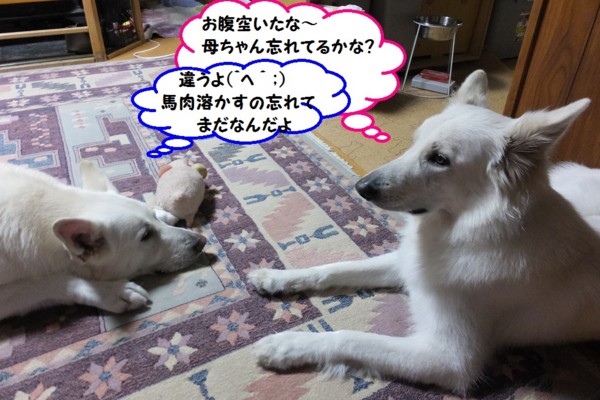 f:id:buhi84shin:20140113215611j:image