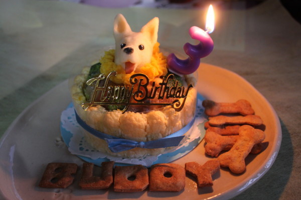 f:id:buhi84shin:20140116212645j:image f:id:buhi84shin:20140116212645j:image