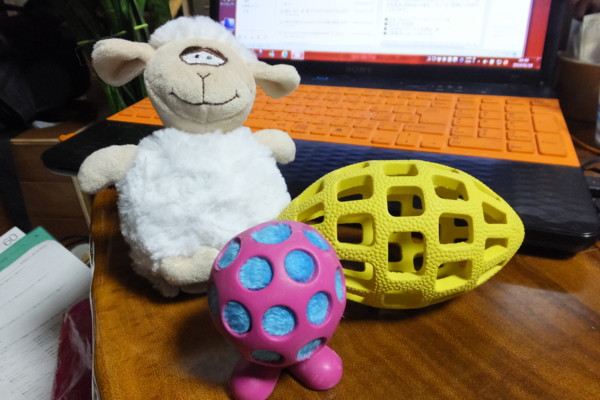 f:id:buhi84shin:20140116213606j:image f:id:buhi84shin:20140116213606j:image