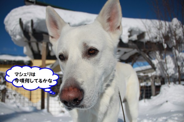f:id:buhi84shin:20140119220055j:image