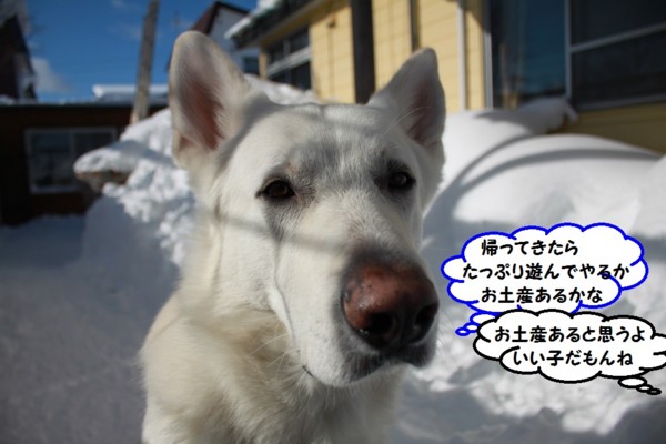 f:id:buhi84shin:20140119222004j:image