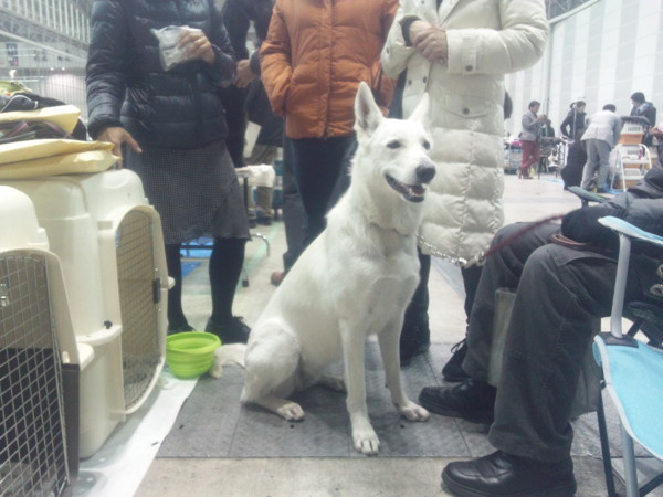 f:id:buhi84shin:20140120213448j:image