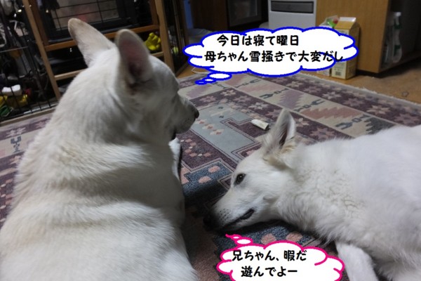 f:id:buhi84shin:20140201224020j:image f:id:buhi84shin:20140201224020j:image