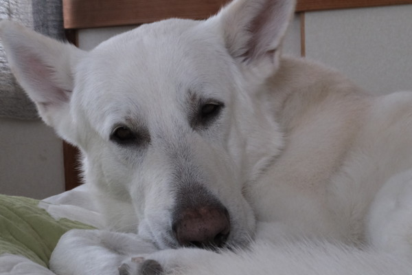 f:id:buhi84shin:20140209215329j:image f:id:buhi84shin:20140209215329j:image