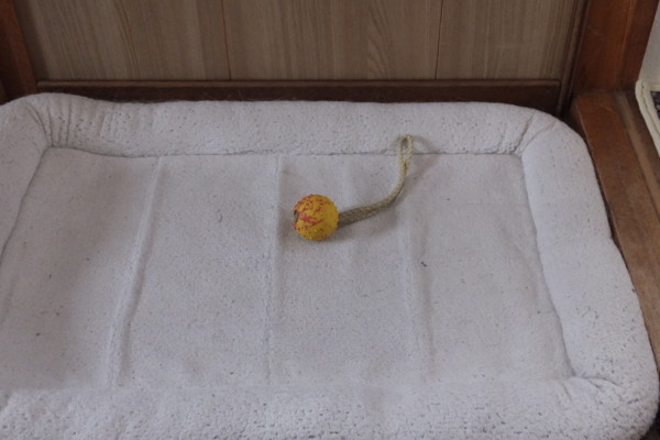 f:id:buhi84shin:20140209215344j:image f:id:buhi84shin:20140209215344j:image