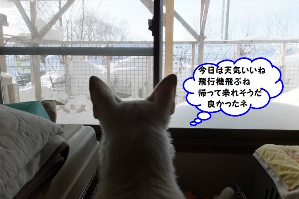 f:id:buhi84shin:20140211213759j:image f:id:buhi84shin:20140211213759j:image