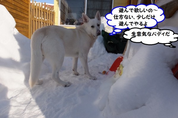 f:id:buhi84shin:20140211214524j:image f:id:buhi84shin:20140211214524j:image