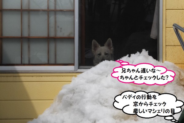 f:id:buhi84shin:20140313210006j:image f:id:buhi84shin:20140313210006j:image
