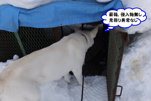 f:id:buhi84shin:20140313210007j:image f:id:buhi84shin:20140313210007j:image