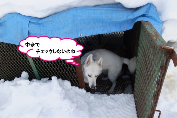 f:id:buhi84shin:20140313211421j:image f:id:buhi84shin:20140313211421j:image