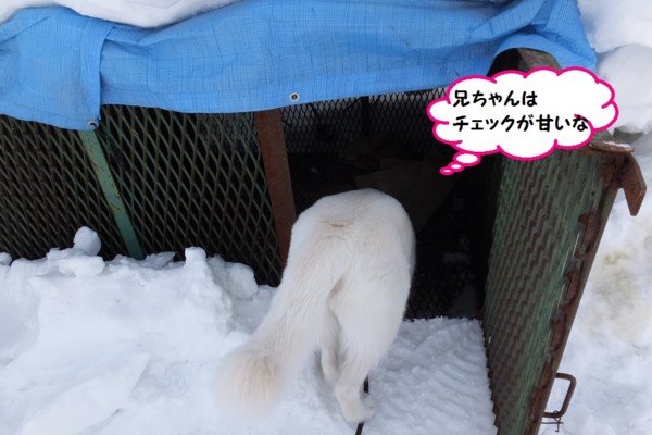 f:id:buhi84shin:20140313211422j:image f:id:buhi84shin:20140313211422j:image