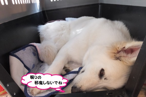 f:id:buhi84shin:20140313212520j:image f:id:buhi84shin:20140313212520j:image