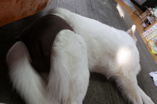 f:id:buhi84shin:20140314204524j:image