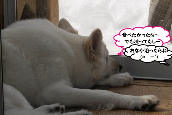 f:id:buhi84shin:20140314220735j:image