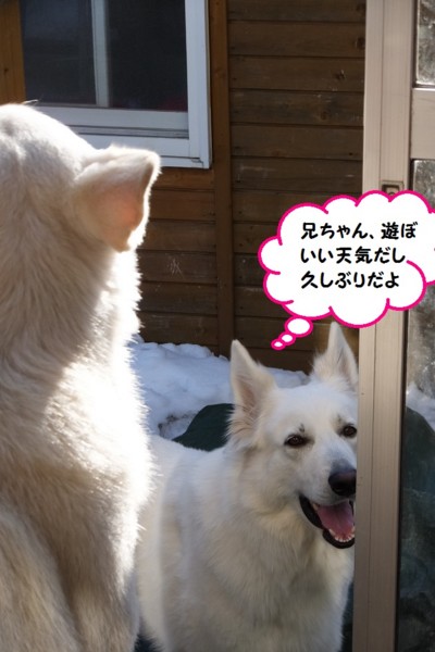 f:id:buhi84shin:20140407215206j:image