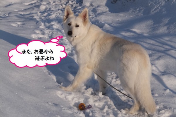 f:id:buhi84shin:20140412210247j:image