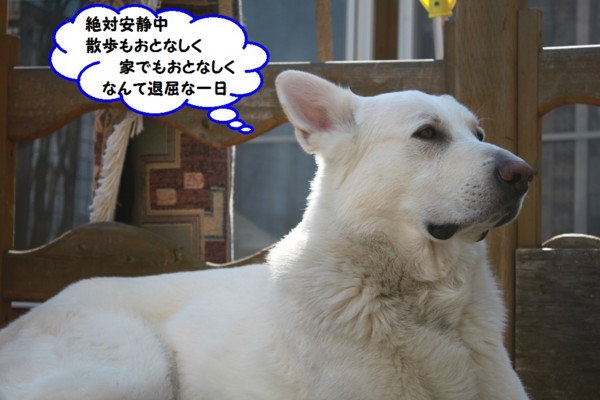 f:id:buhi84shin:20140419224809j:image