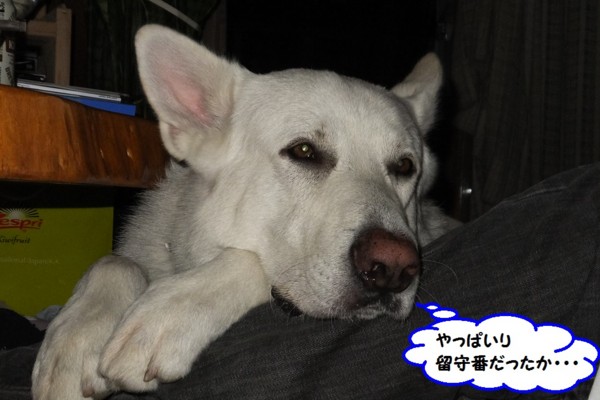 f:id:buhi84shin:20140607214853j:image