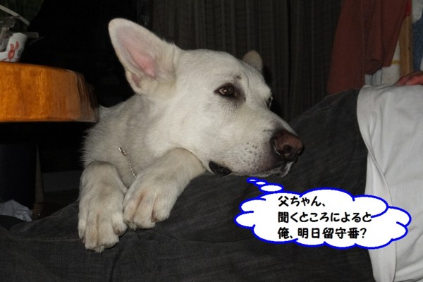f:id:buhi84shin:20140607214855j:image