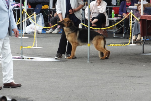 f:id:buhi84shin:20140608221758j:image f:id:buhi84shin:20140608221758j:image