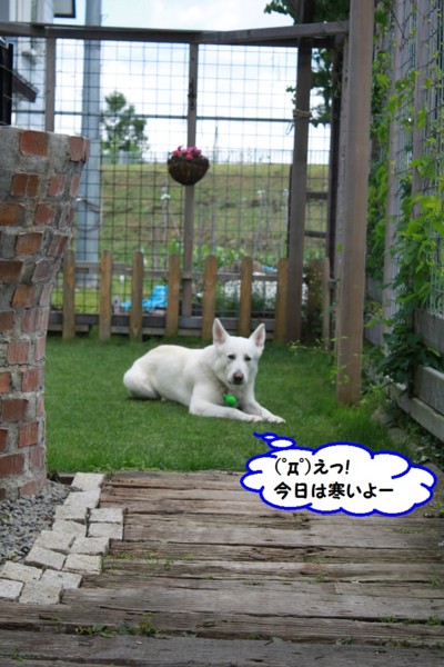 f:id:buhi84shin:20140622223033j:image