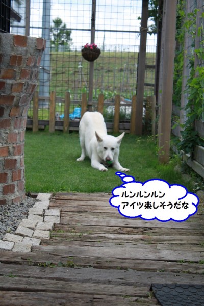 f:id:buhi84shin:20140622223034j:image