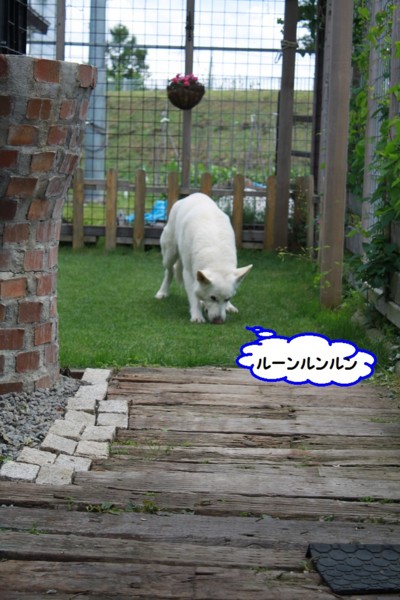 f:id:buhi84shin:20140622223036j:image