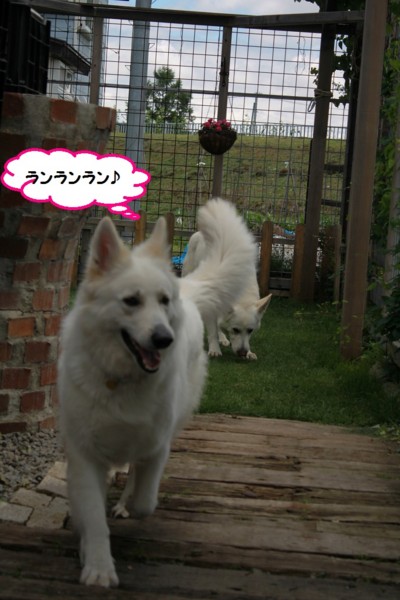 f:id:buhi84shin:20140622223039j:image