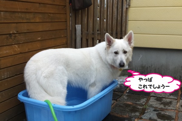 f:id:buhi84shin:20140629220509j:image