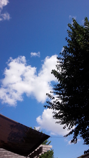 f:id:buhi84shin:20140831214528j:image
