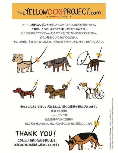 f:id:buhi84shin:20141021204744j:image f:id:buhi84shin:20141021204744j:image