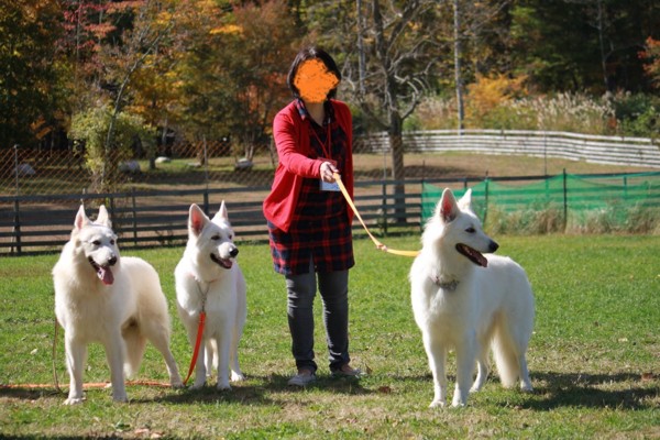 f:id:buhi84shin:20141029143417j:image