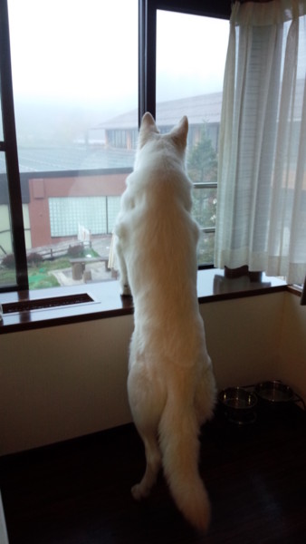 f:id:buhi84shin:20141030170521j:image f:id:buhi84shin:20141030170521j:image