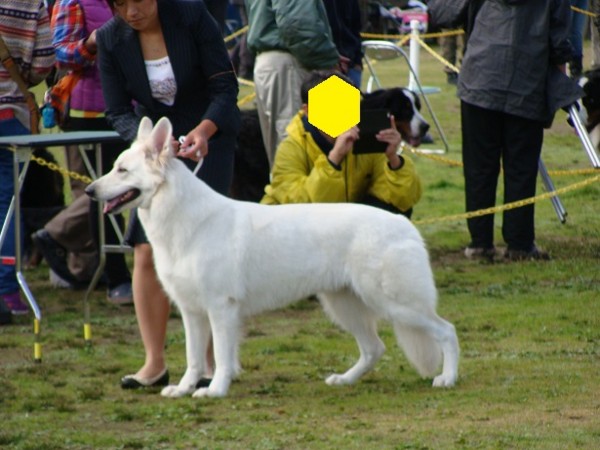 f:id:buhi84shin:20141030202500j:image f:id:buhi84shin:20141030202500j:image