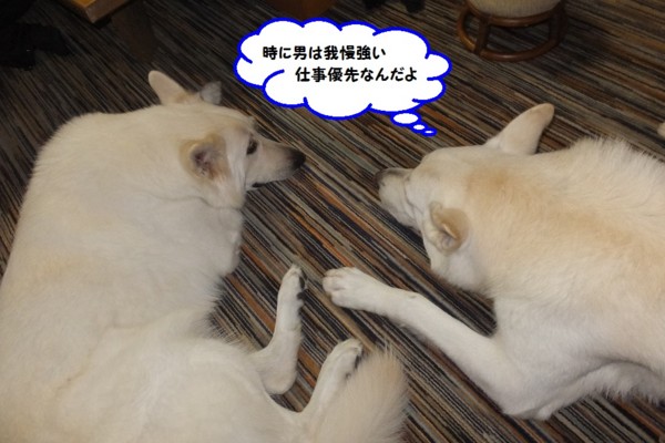 f:id:buhi84shin:20141116220824j:image f:id:buhi84shin:20141116220824j:image