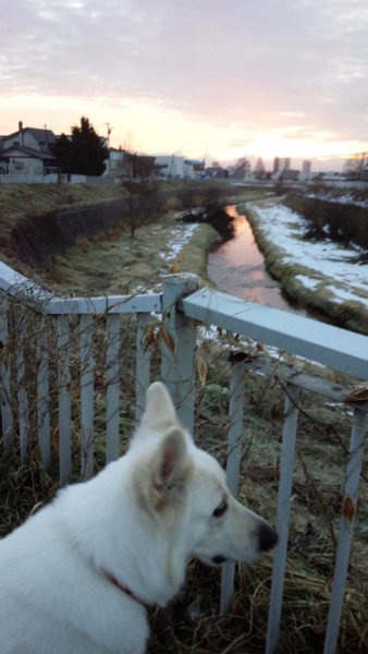 f:id:buhi84shin:20141201214024j:image