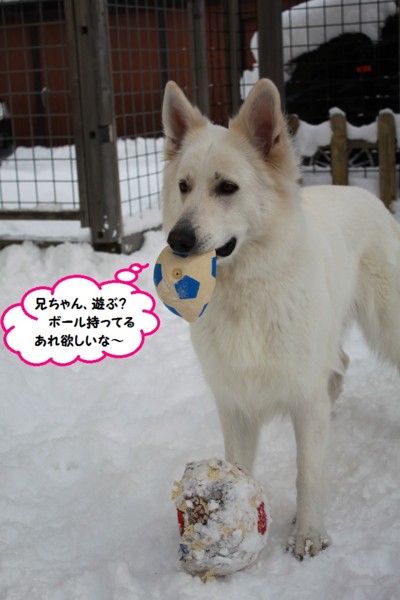 f:id:buhi84shin:20141210223052j:image f:id:buhi84shin:20141210223052j:image