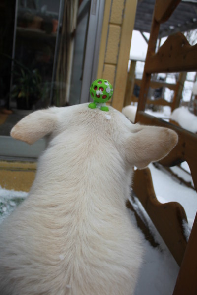 f:id:buhi84shin:20141210223525j:image f:id:buhi84shin:20141210223525j:image