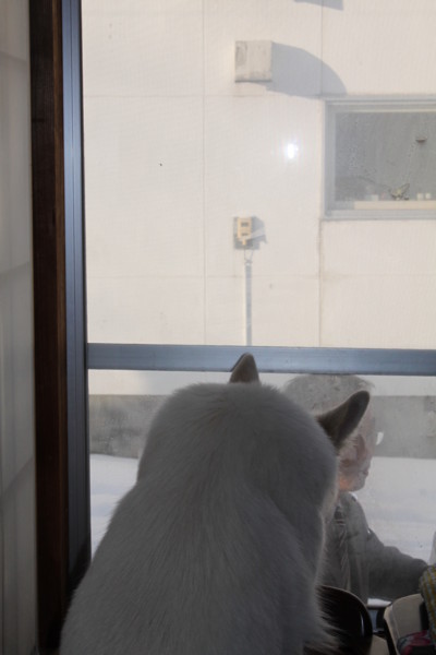 f:id:buhi84shin:20141211203045j:image