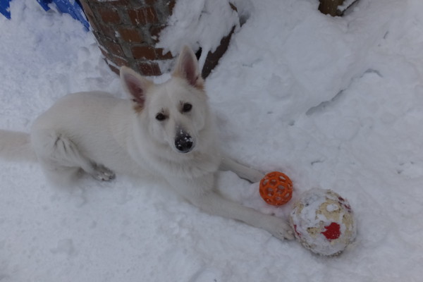 f:id:buhi84shin:20141217221014j:image