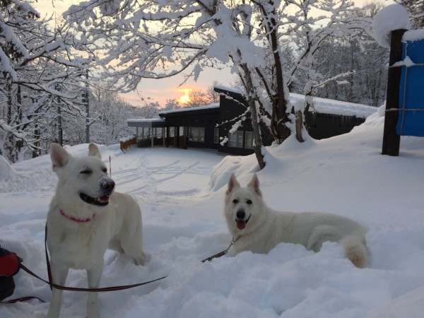 f:id:buhi84shin:20150101133622j:image f:id:buhi84shin:20150101133622j:image