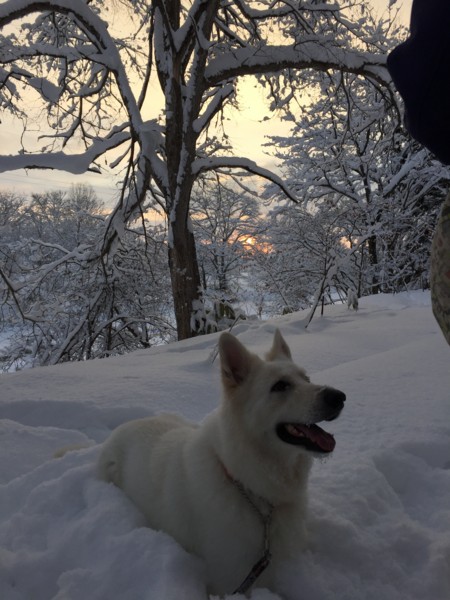 f:id:buhi84shin:20150101195505j:image f:id:buhi84shin:20150101195505j:image