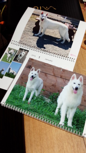 f:id:buhi84shin:20150101201909j:image f:id:buhi84shin:20150101201909j:image