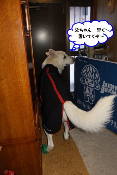 f:id:buhi84shin:20150102203108j:image f:id:buhi84shin:20150102203108j:image