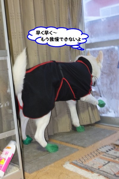 f:id:buhi84shin:20150102203110j:image f:id:buhi84shin:20150102203110j:image