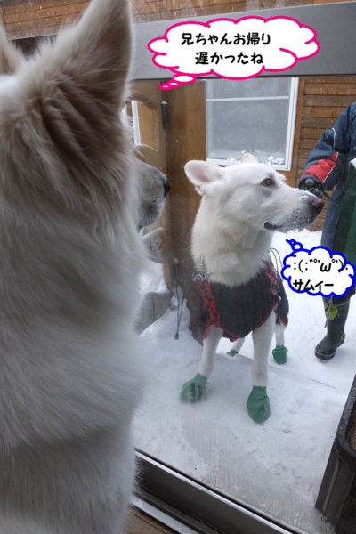 f:id:buhi84shin:20150102215800j:image f:id:buhi84shin:20150102215800j:image