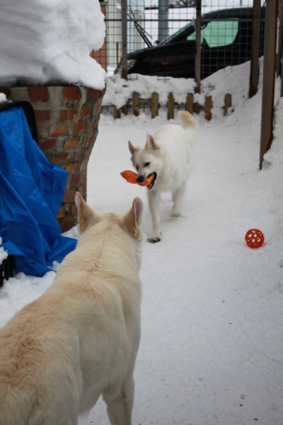 f:id:buhi84shin:20150114225215j:image f:id:buhi84shin:20150114225215j:image