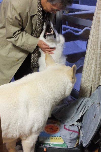 f:id:buhi84shin:20150128195434j:image