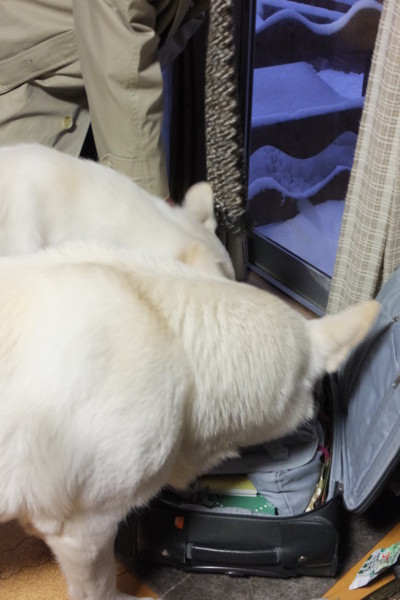 f:id:buhi84shin:20150128195444j:image